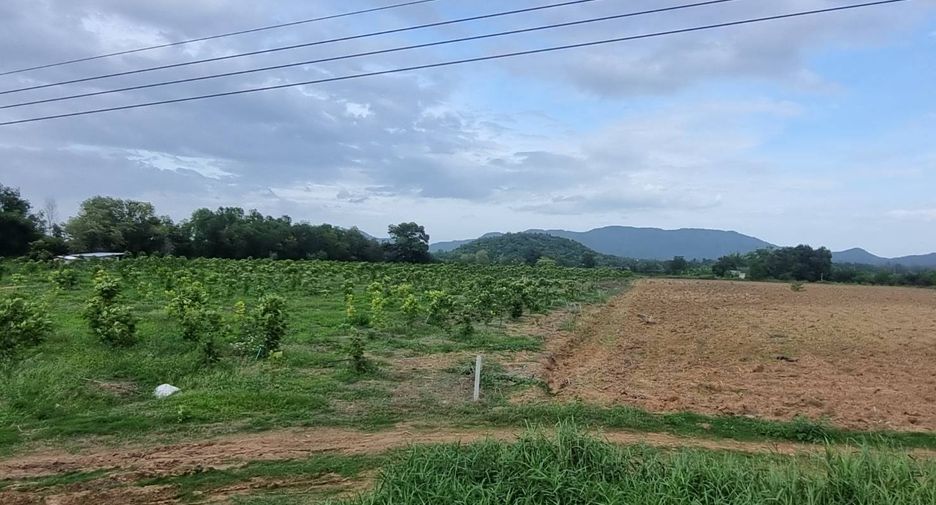 For sale land in Wang Thong, Phitsanulok