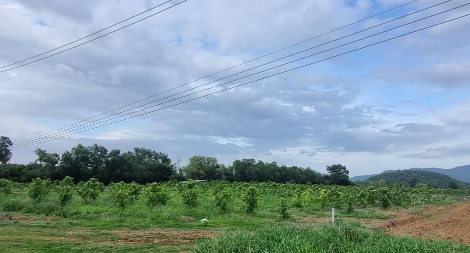 For sale land in Wang Thong, Phitsanulok