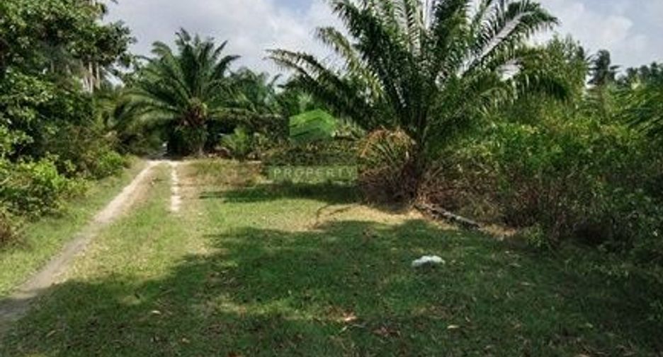 À vendre terrain à Mueang Nakhon Si Thammarat, Nakhon Si Thammarat