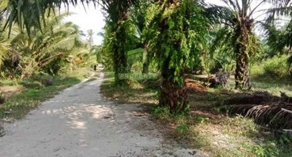 À vendre terrain à Mueang Nakhon Si Thammarat, Nakhon Si Thammarat