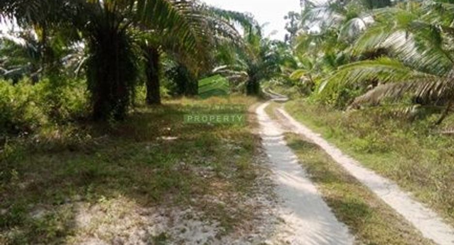 À vendre terrain à Mueang Nakhon Si Thammarat, Nakhon Si Thammarat