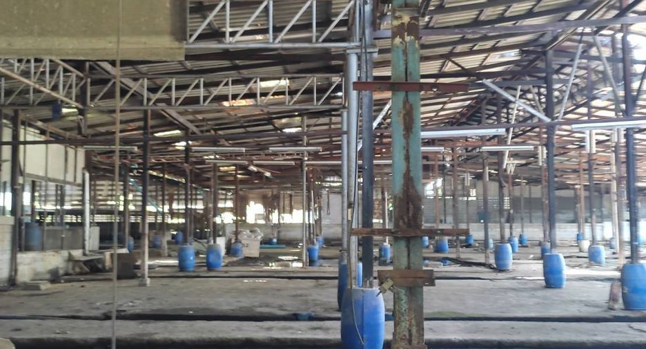 For rent and for sale 2 bedrooms warehouse in Phra Samut Chedi, Samut Prakan