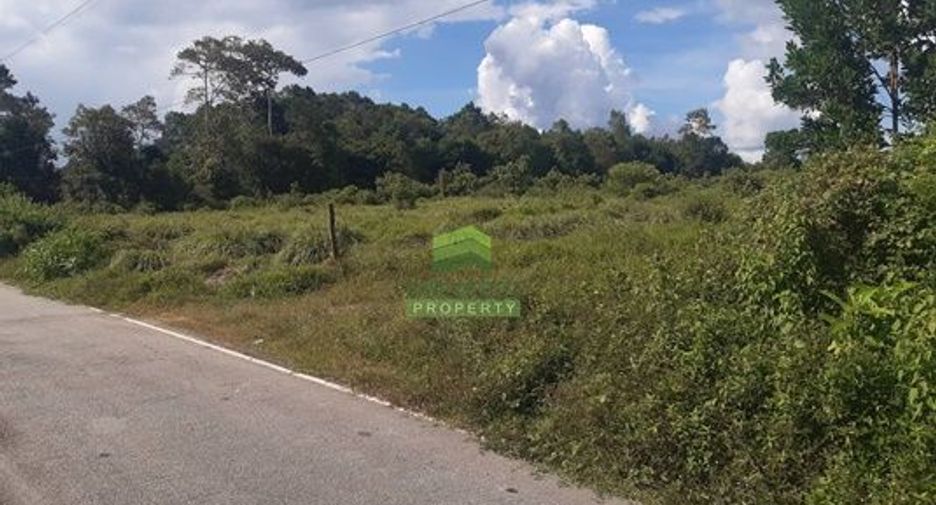 Casa adosada en venta de estudio en Waeng, Narathiwat