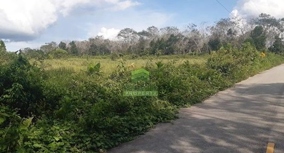 Casa adosada en venta de estudio en Waeng, Narathiwat