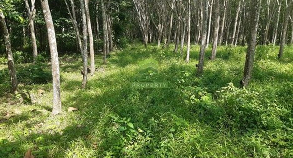 For sale land in Khlong Hoi Khong, Songkhla