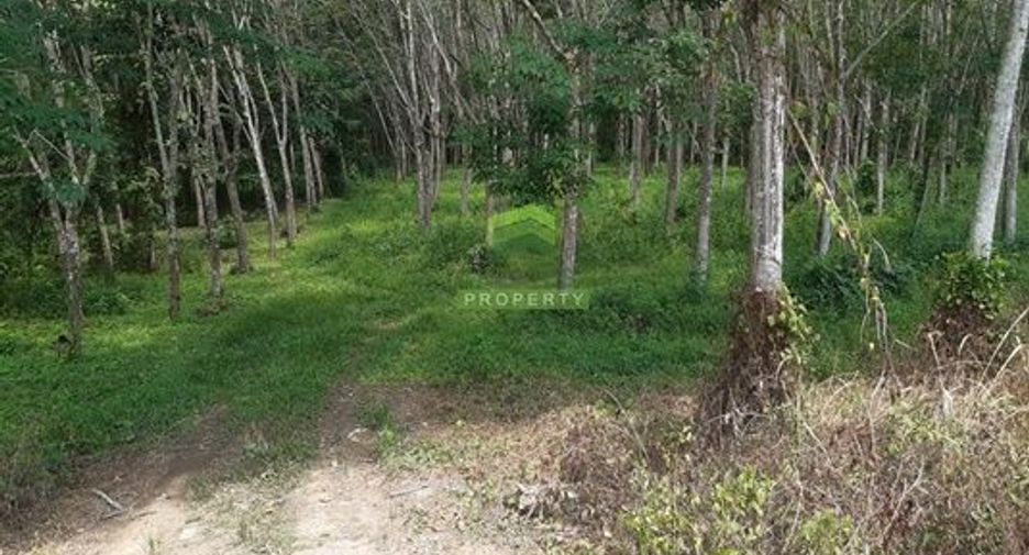 For sale land in Khlong Hoi Khong, Songkhla