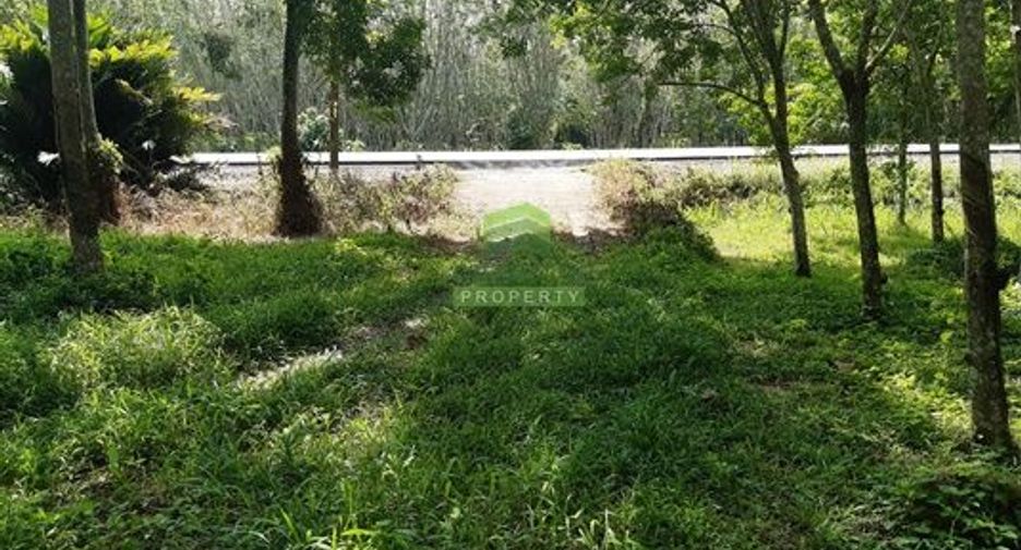For sale land in Khlong Hoi Khong, Songkhla