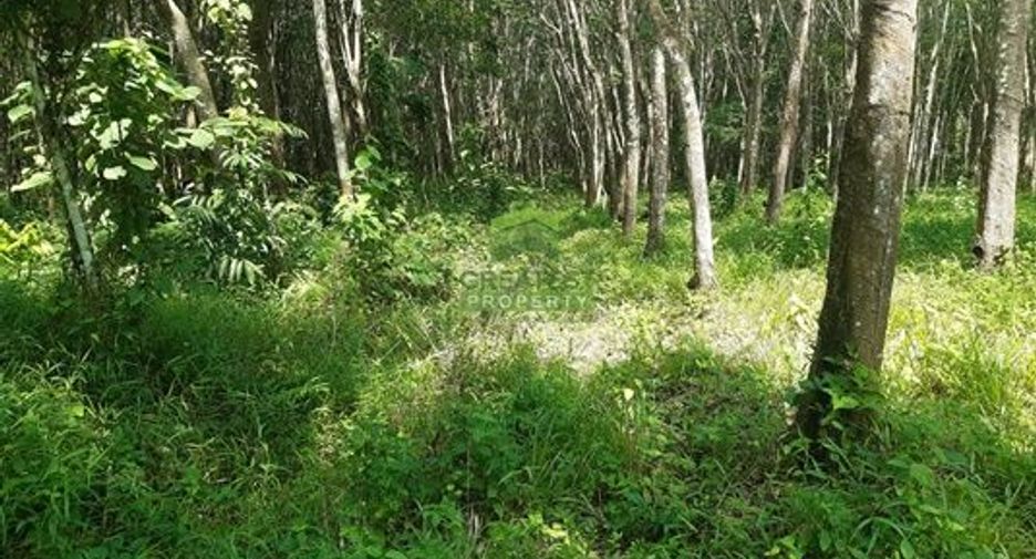 For sale land in Khlong Hoi Khong, Songkhla