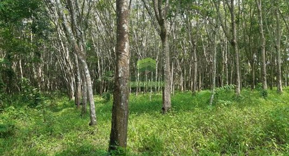 For sale land in Khlong Hoi Khong, Songkhla