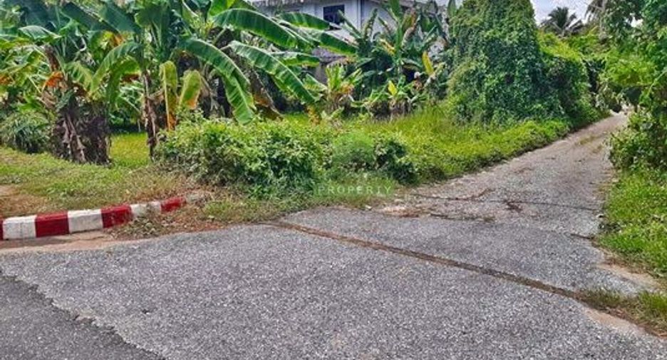 For sale land in Mueang Narathiwat, Narathiwat