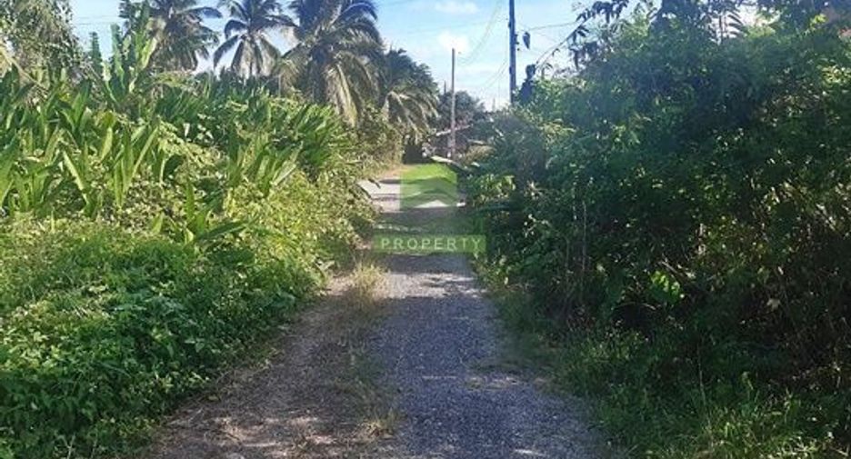 For sale land in Mueang Narathiwat, Narathiwat