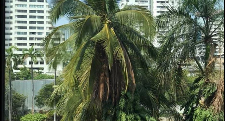 Condo en venta de 1 habitaciones en Khlong Toei, Bangkok