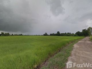 For sale studio land in Tha Tako, Nakhon Sawan