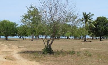 出售 土地 在 Kui Buri, 班武里府