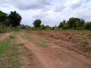 For sale land in Sung Noen, Nakhon Ratchasima