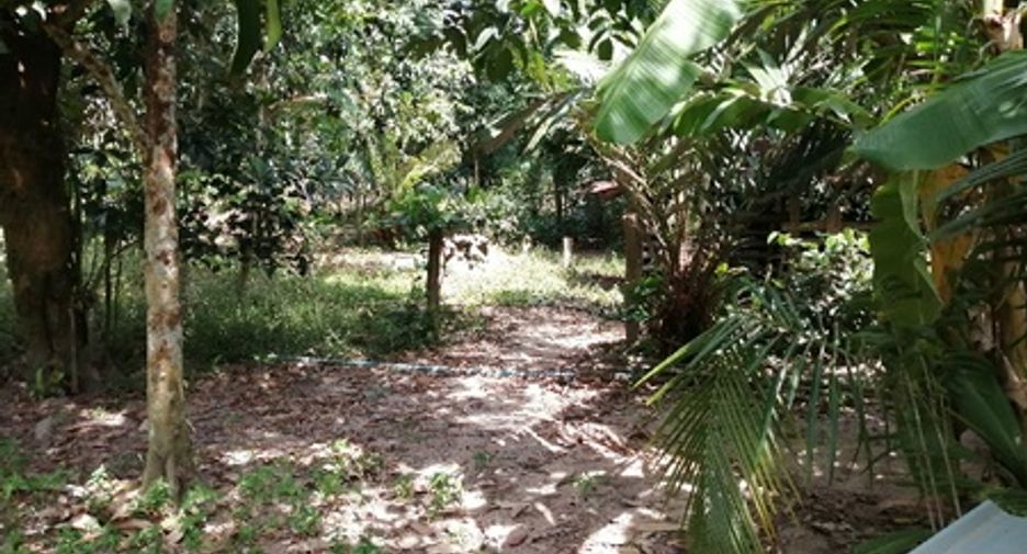 出售 公寓 独立屋 在 Kapho, Pattani