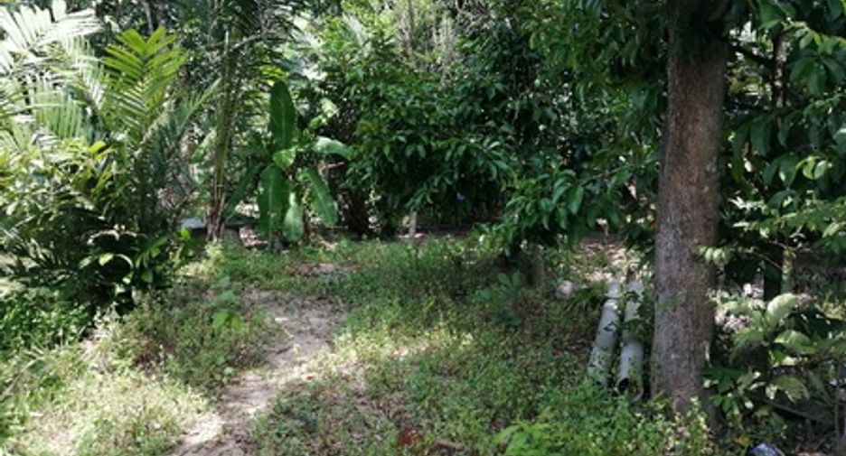 出售 公寓 独立屋 在 Kapho, Pattani