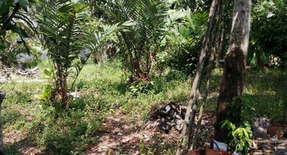 出售 公寓 独立屋 在 Kapho, Pattani