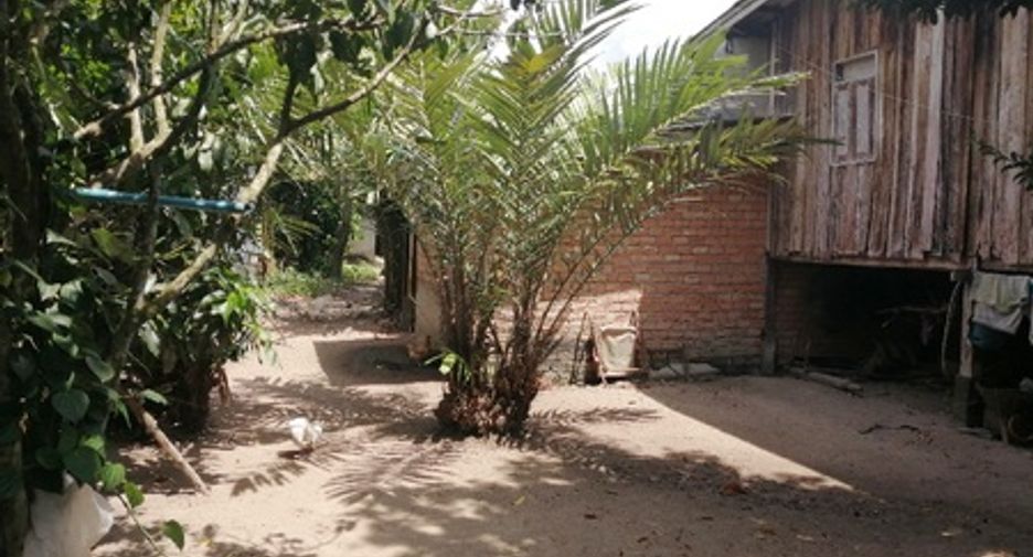 出售 公寓 独立屋 在 Kapho, Pattani