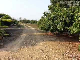 For sale land in Chai Prakan, Chiang Mai