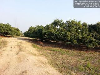For sale land in Chai Prakan, Chiang Mai