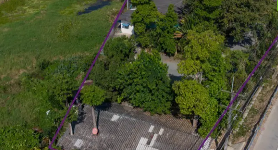 ขาย ที่ดิน ใน แม่ริม, เชียงใหม่