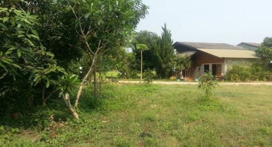 For sale land in Chiang Saen, Chiang Rai