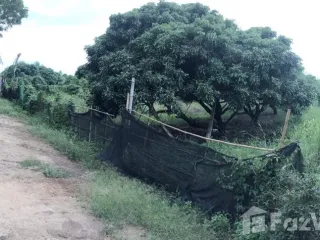 For sale land in Saraphi, Chiang Mai