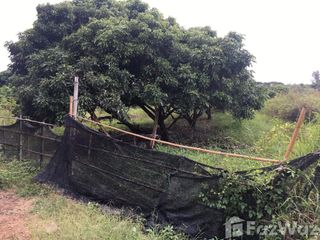 For sale land in Saraphi, Chiang Mai