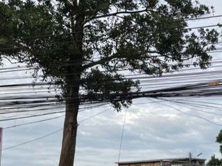 For sale land in Kathu, Phuket