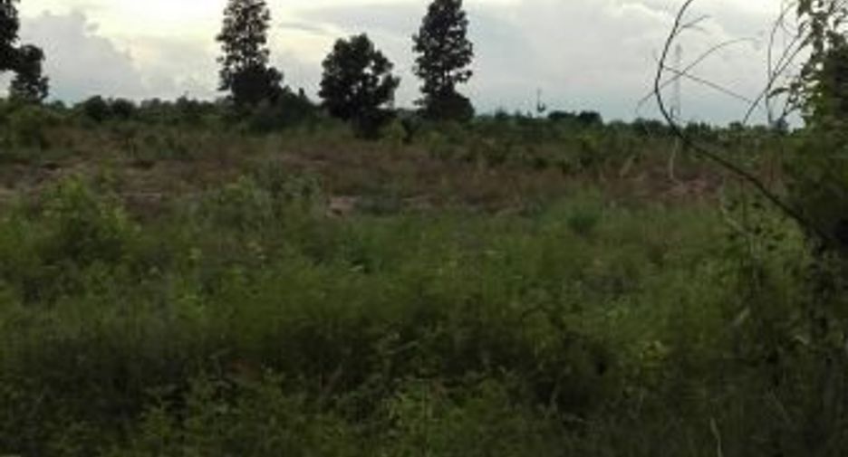 Grundstück zum Kauf in Pa Sang, Lamphun