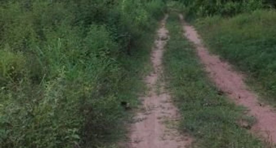 Grundstück zum Kauf in Pa Sang, Lamphun