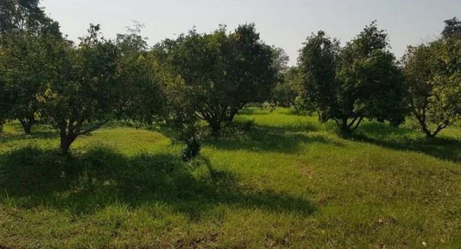 Terreno en venta en Mueang Uttaradit, Uttaradit