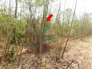 Продажа Участок в Wichian Buri, Phetchabun