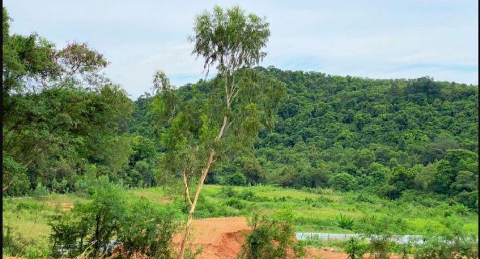 For sale land in Sattahip, Chonburi