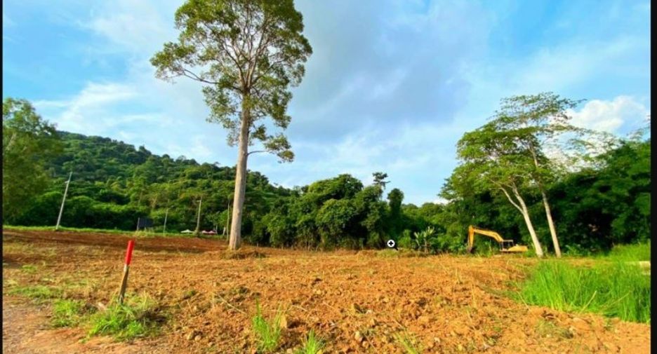For sale land in Sattahip, Chonburi