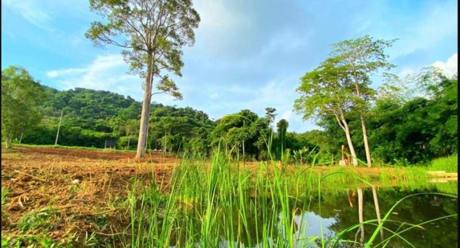 For sale land in Sattahip, Chonburi