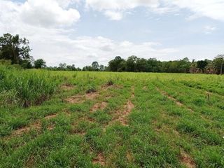 For sale land in Wang Nam Khiao, Nakhon Ratchasima