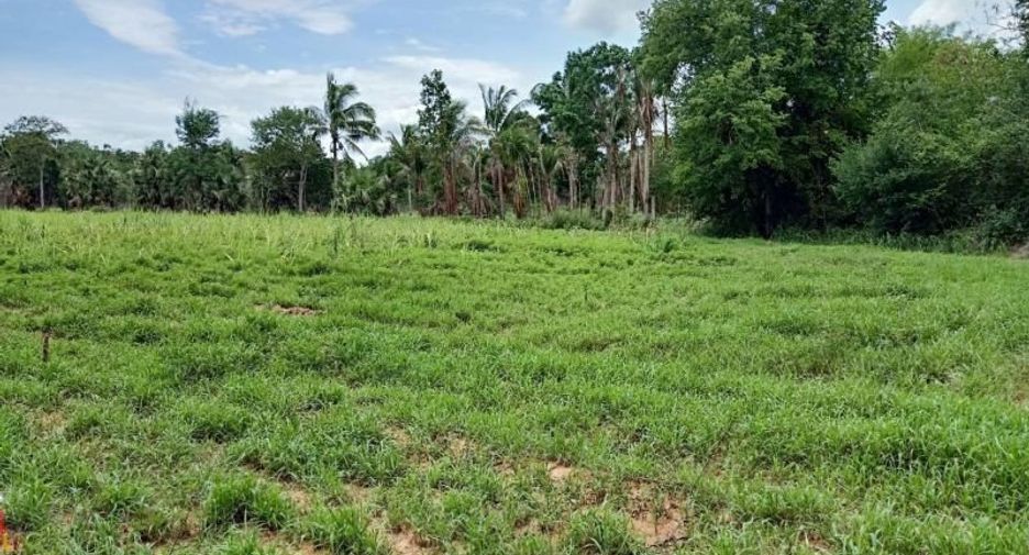 For sale land in Wang Nam Khiao, Nakhon Ratchasima