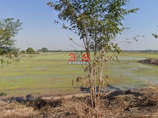 For sale land in Ban Na, Nakhon Nayok