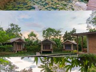 Gewerbefläche zum Kauf mit 5 Zimmer in San Kamphaeng, Chiang Mai