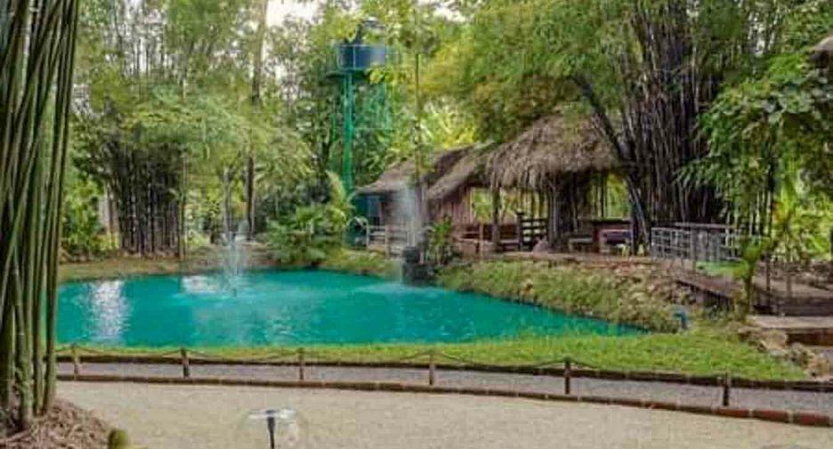 Local comercial en venta de 5 habitaciones en San Kamphaeng, Chiang Mai