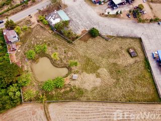 For sale land in Tha Li, Loei