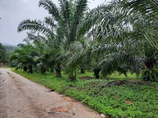 For sale land in Ao Luek, Krabi