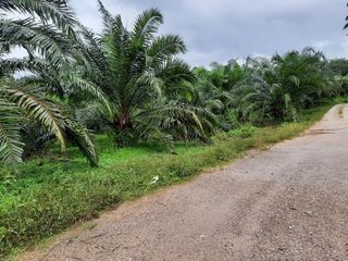 For sale land in Ao Luek, Krabi