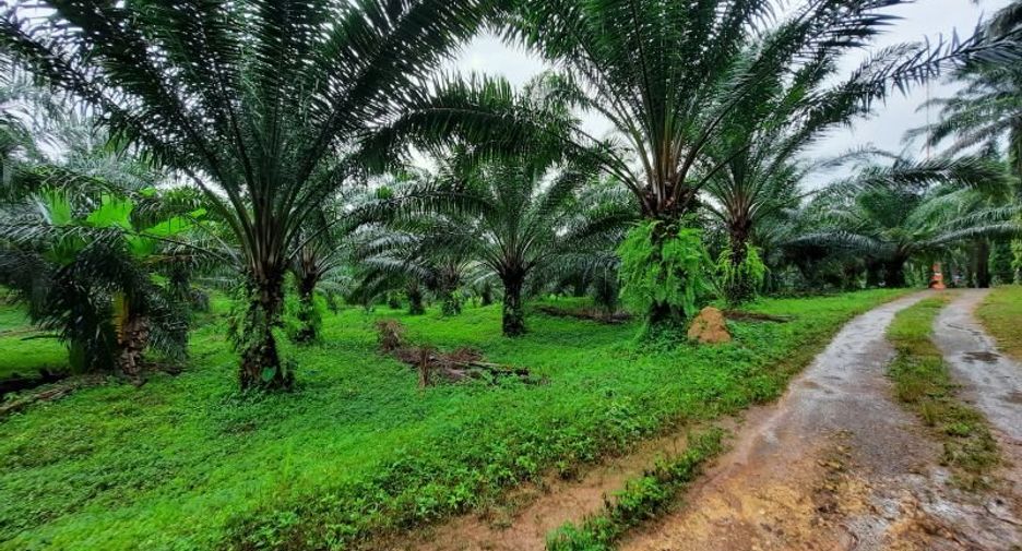 Terreno en venta en Ao Luek, Krabi