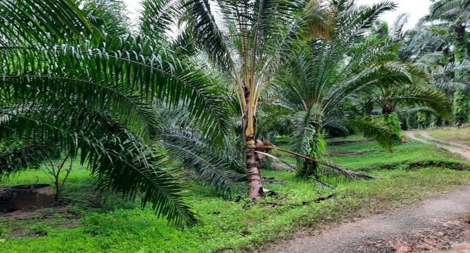 Terreno en venta en Ao Luek, Krabi