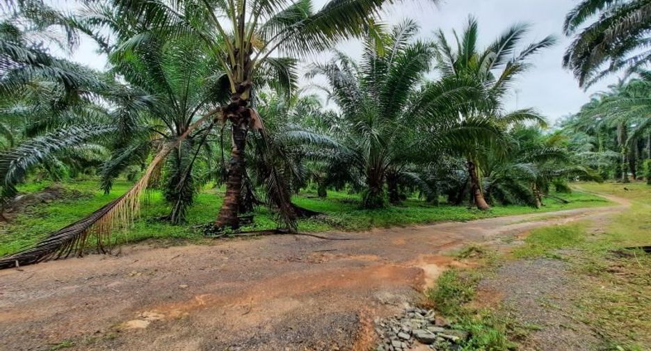 Terreno en venta en Ao Luek, Krabi