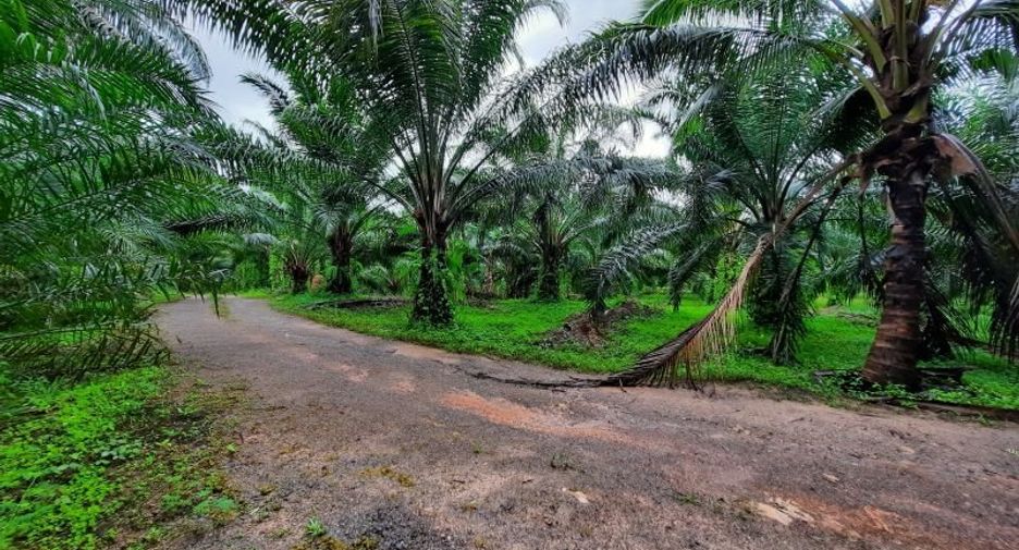 For sale land in Ao Luek, Krabi