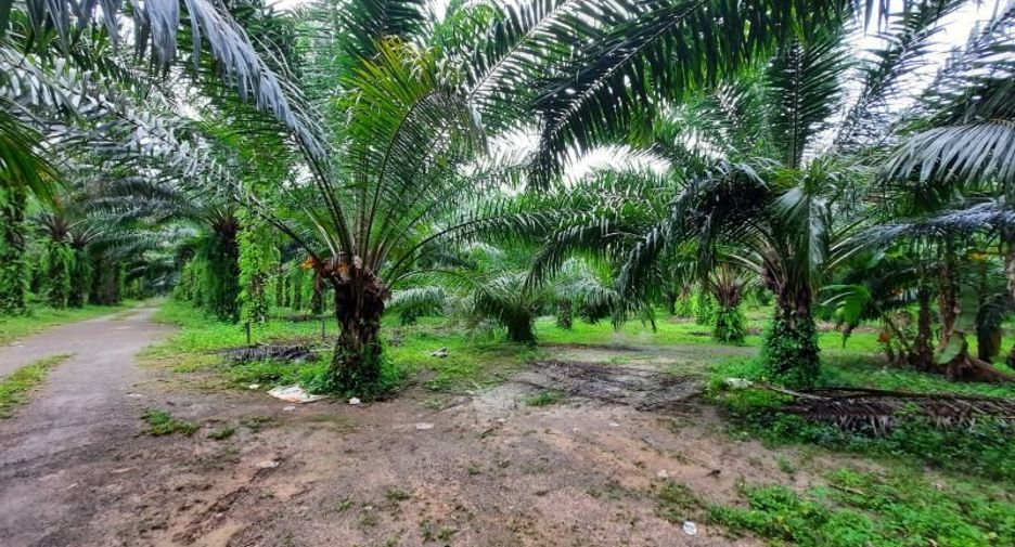 Terreno en venta en Ao Luek, Krabi